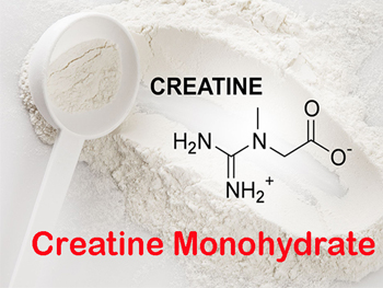 What Is Creatine Monohydrate?